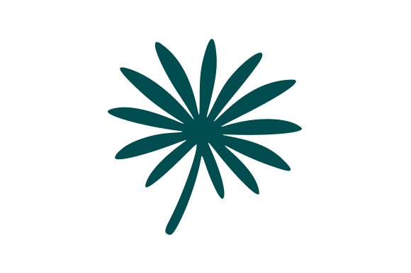 Palm Leaf Tropical Graphics and Illustrations